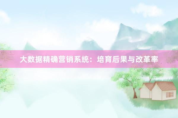大数据精确营销系统：培育后果与改革率