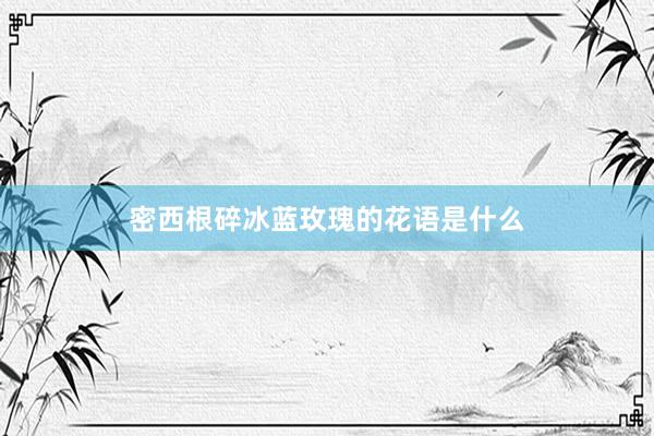 密西根碎冰蓝玫瑰的花语是什么