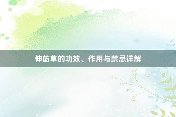 伸筋草的功效、作用与禁忌详解
