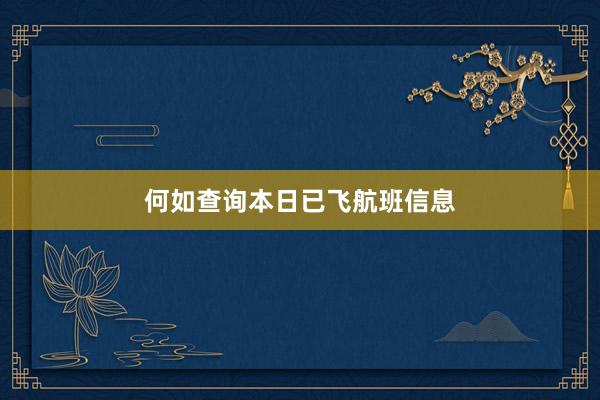 何如查询本日已飞航班信息